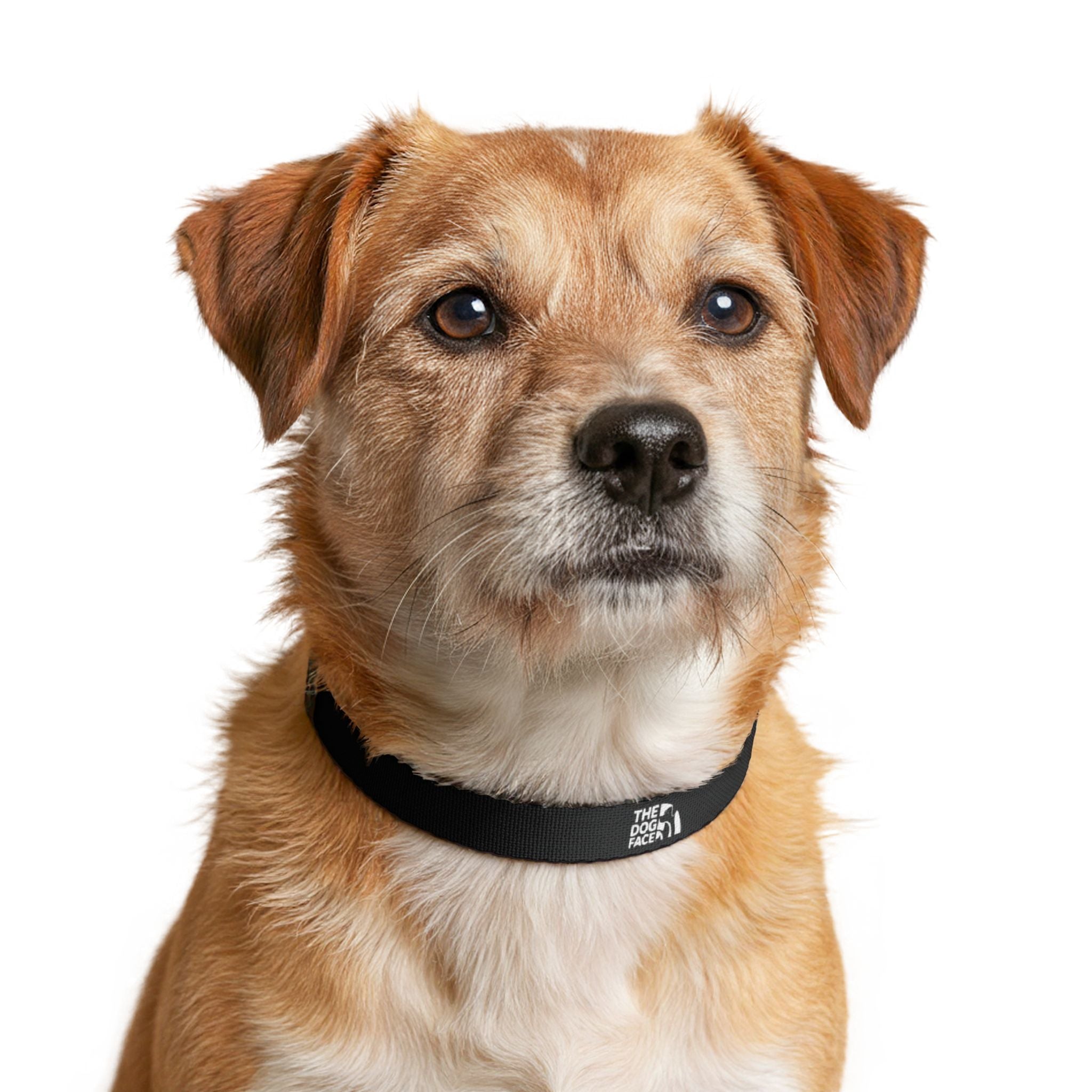 The Dog Face™ Collar