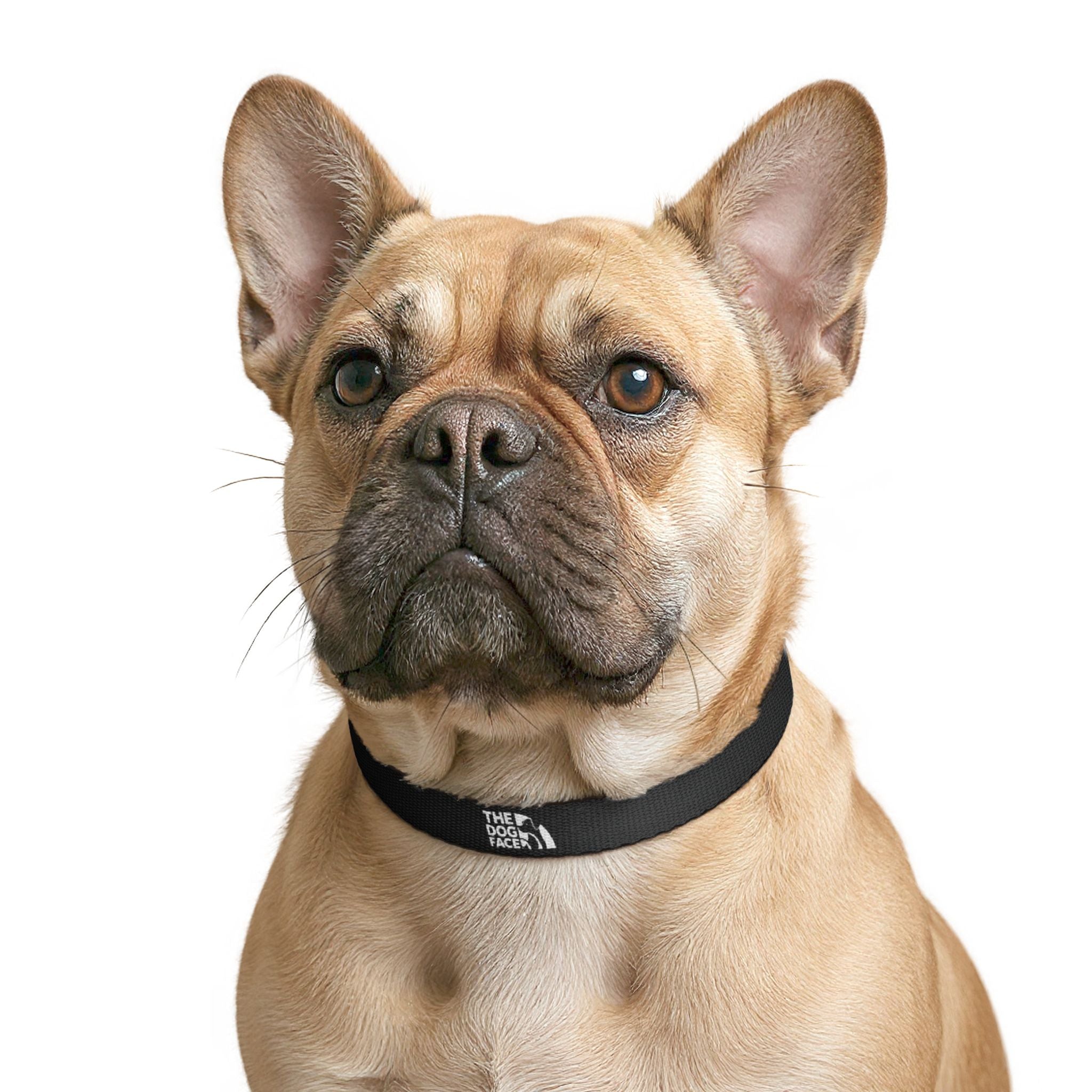 The Dog Face™ Collar