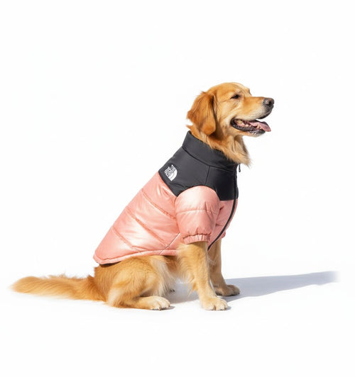 The Dog Face™ Waterproof & Windproof Coat
