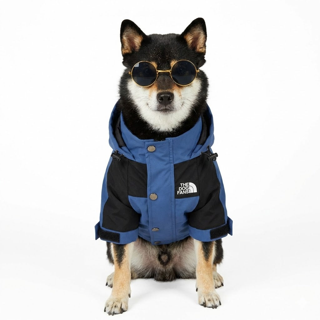 The Dog Face™ Winter Hoodie